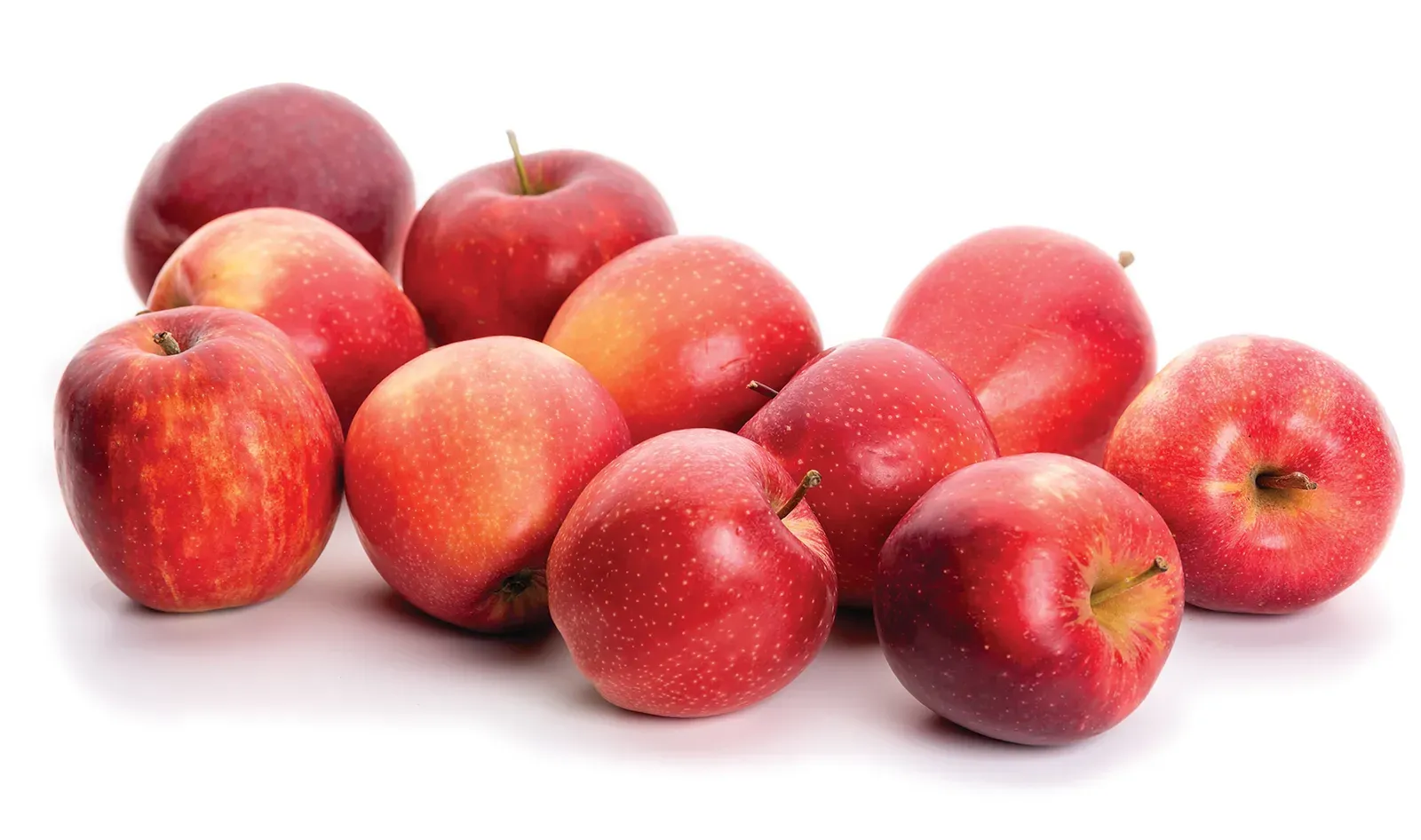 Apples representing the orchard harvest