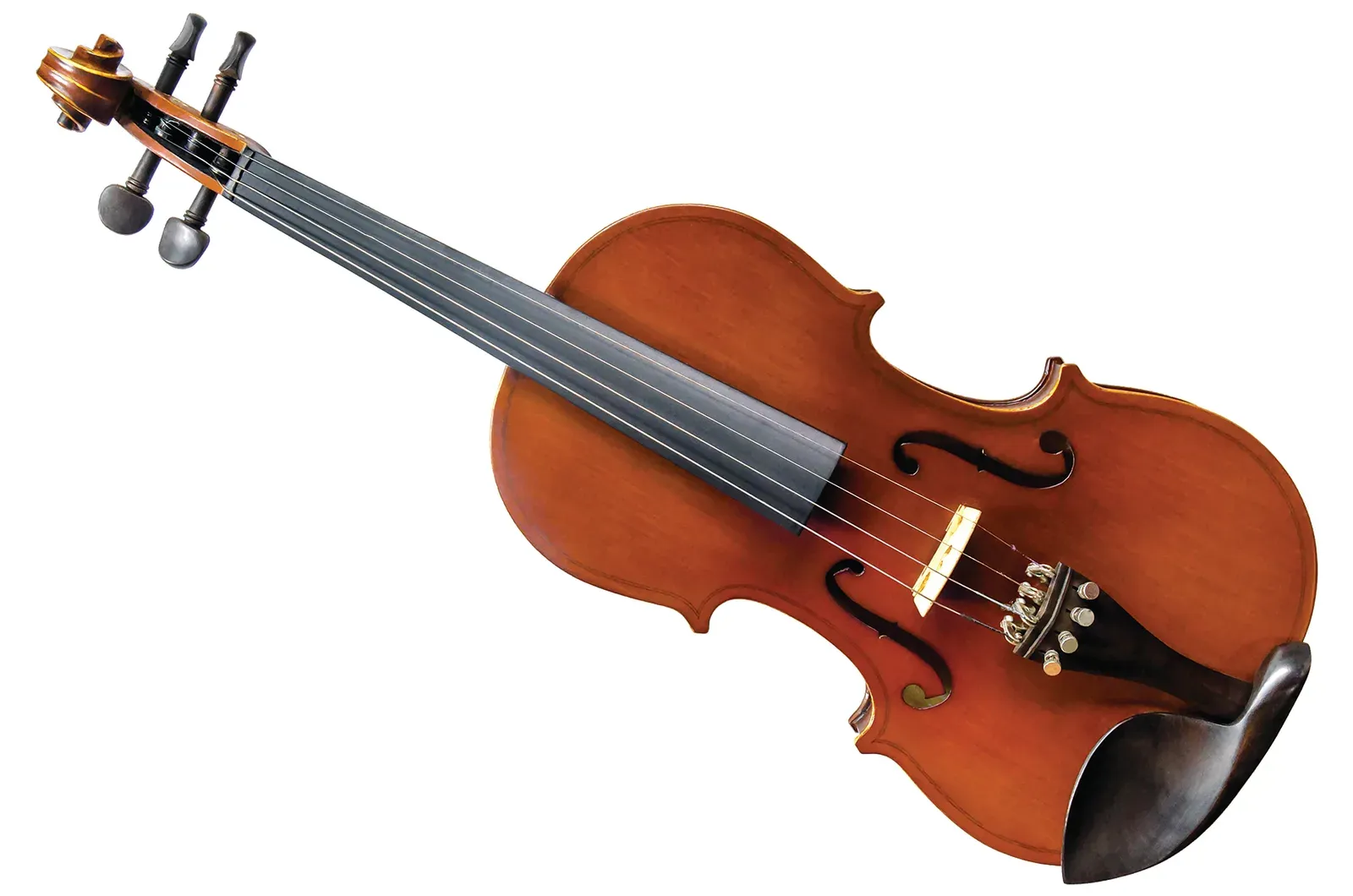 A violin